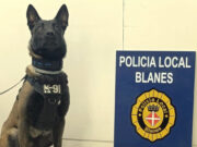 Tres detinguts i cinc actes aixecades per tinença de drogues en un sol patrullatge de la unitat canina de Blanes