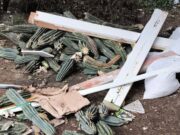 Abocament il·legal i contractacions irregulars: doble denúncia a Fornells de la Selva