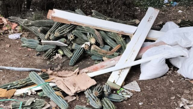 Imatge del'abocament a Fornells de la Selva (Mossos)