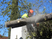 Les brigades treballen per recuperar “la normalitat” a Girona després que la ventada tombés una setantena d’arbres