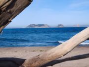 La Gola del Ter, el paradís natural per fugir del turisme massiu de Setmana Santa