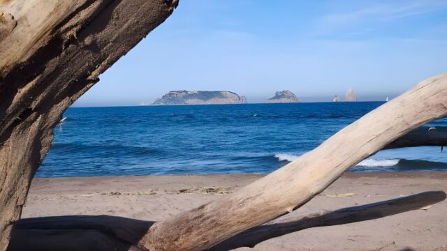Imatge de la Platja de la Gola del Ter (Girona)