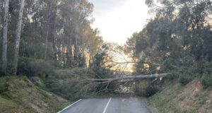 Els Bombers atenen 108 serveis per incidències causades pel vent