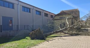 Un arbre caigut sobre una línia d’alta tensió deixa 2.900 clients sense subministrament al Ripollès