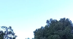 La ventada supera els 120 km/h a cotes altes del Pirineu i frega els 170 km/h al nord de l’Alt Empordà