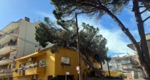 Els Bombers reben 304 avisos pel vent fins a les 19.00 h, la majoria a la regió de Girona