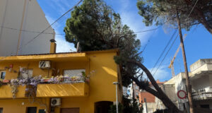 Els Bombers atenen 70 avisos per vent des de les 19 h de dimarts, la majoria a la regió de Girona