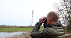 El Parc dels Aiguamolls construeix un sistema per bombar i garantir aigua als estanys del Matà, zona clau per a la fauna