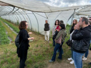 Ordeig vol augmentar l’agricultura i la ramaderia ecològiques ampliant els dinamitzadors i conscienciant els consumidors