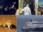 L’ICGEA adverteix de l’impacte reputacional del brot d’hantavirus a Canàries
