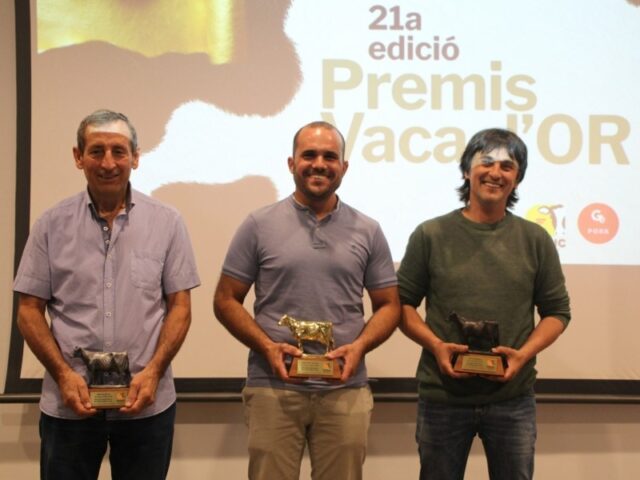 noticia_1781256289.jpg